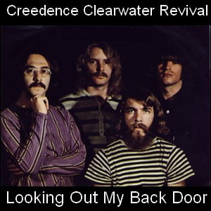 Looking Out My Back Door